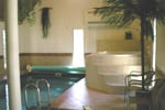 Poolhus Sverige, indendørs pool med lille træ